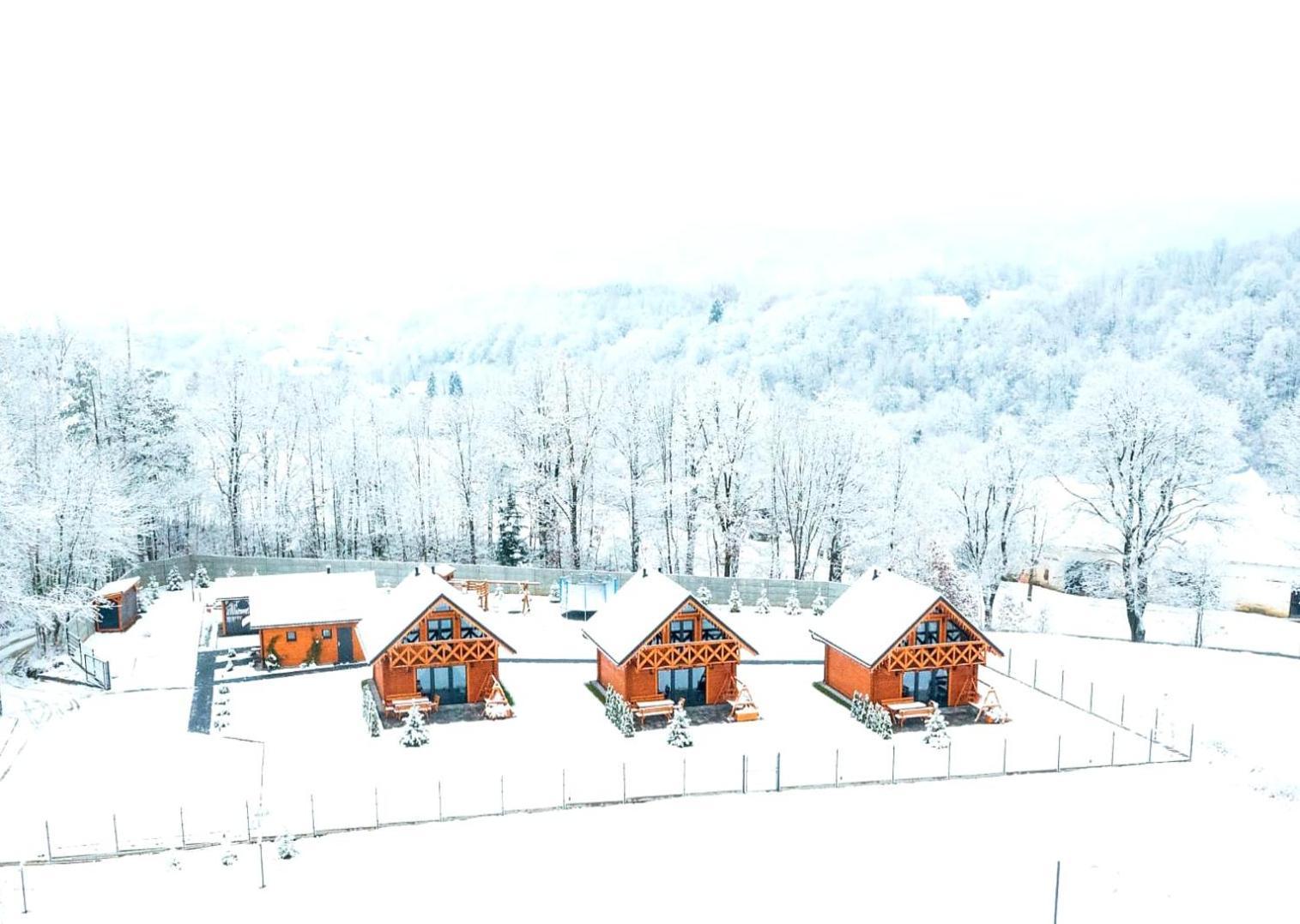 Sloneczne Domki Sudety - Domki Caloroczne Kotlina Klodzka Stary Waliszow Exteriör bild